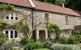 Maplestone